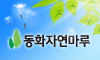 상큼한 3월 동화자연마루로 오세요~!